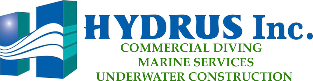 Main Logo